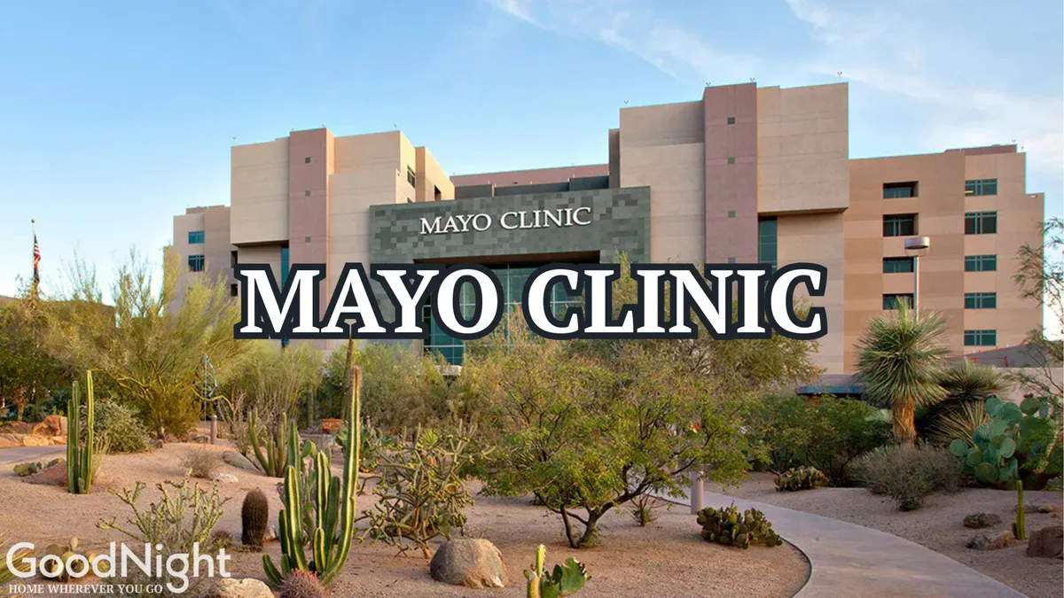 This image captures the exterior of the Mayo Clinic surrounded by desert landscaping and cacti, highlighting a major business and medical hub in Scottsdale. The scene is professional and serene, conveying accessibility to important local business destinations.