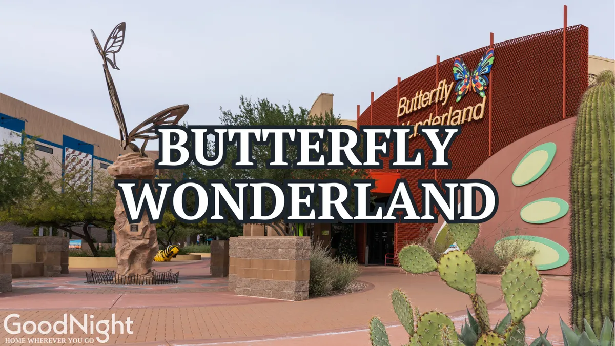 The exterior view of Butterfly Wonderland features a large butterfly sculpture, visible signage, and lush greenery. The playful, educational atmosphere is evident, making it ideal for family outings.